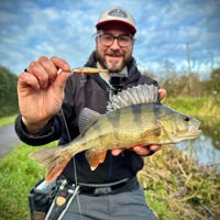 Westin Jerkbite SR Jerkbaits 7.5cm/5g